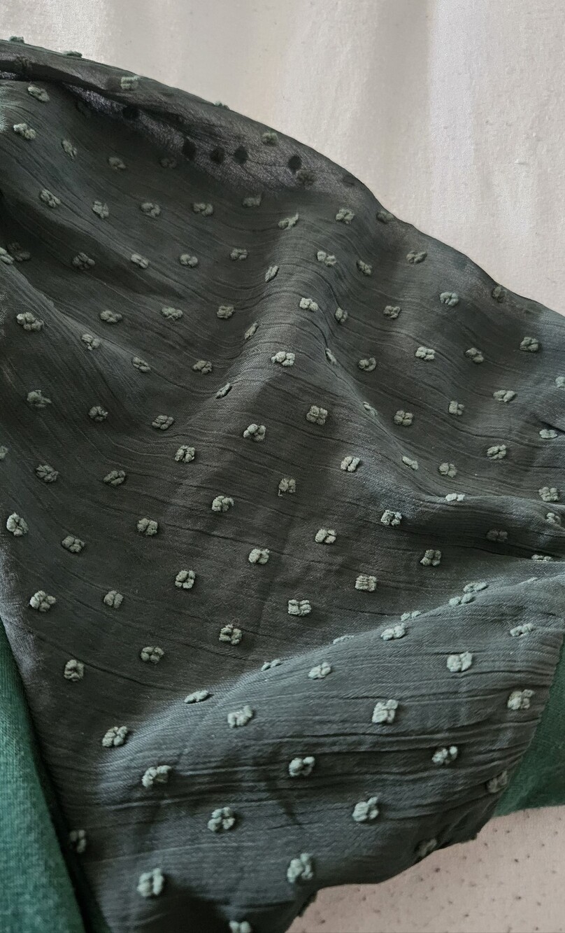 2 FOR $25🆕️Green V‑Neck Top with Sheer Puff Dot Sleeves - Picture 2 of 6